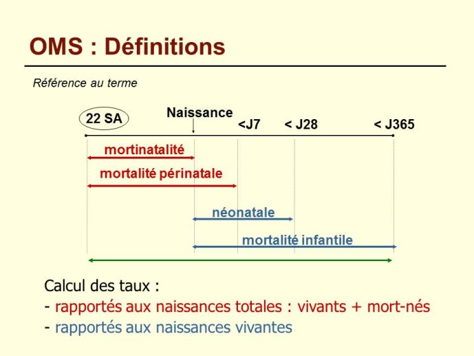 Diapositive2