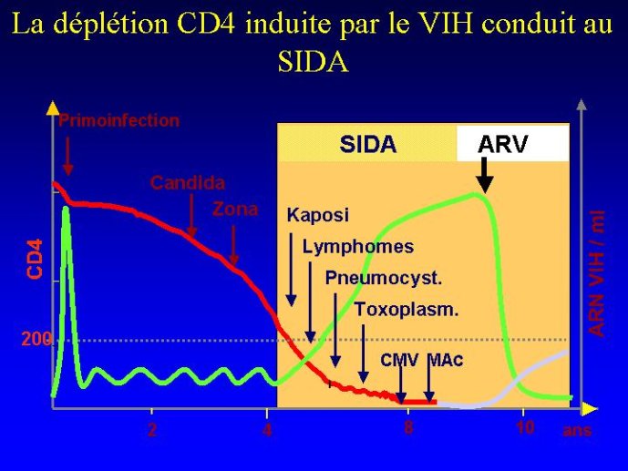 Diapositive17