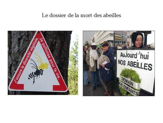 Diapositive13