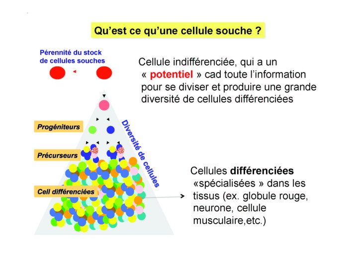 Coulombel_4mai_01