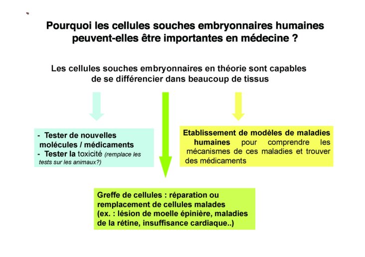 Coulombel_4mai_17