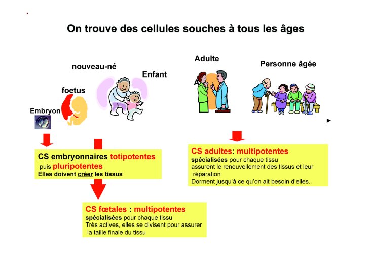 Coulombel_4mai_02