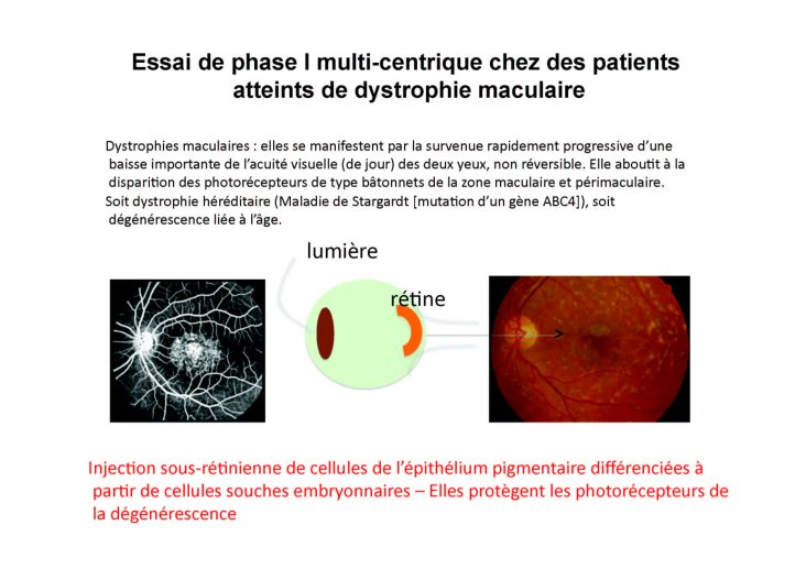 Coulombel_4mai_19