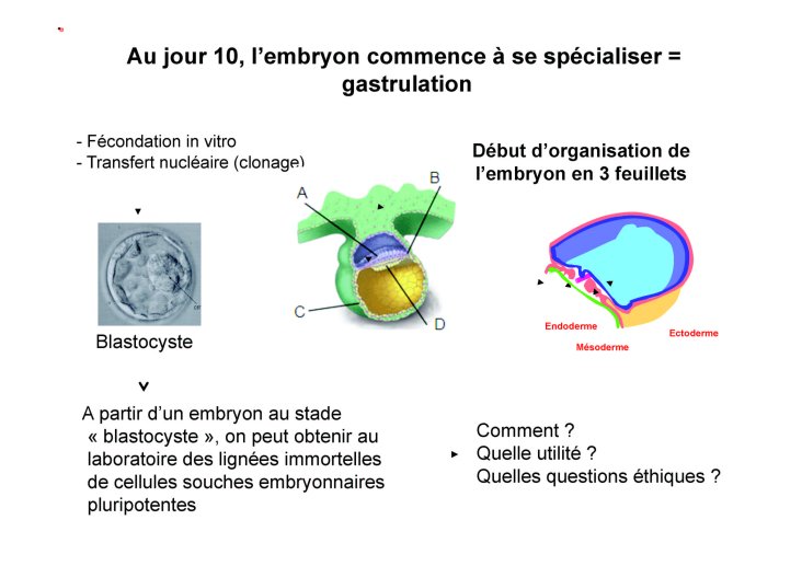 Coulombel_4mai_14