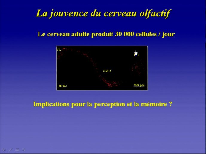 slide_0065_full