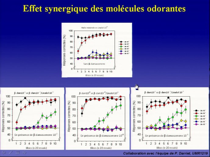 slide_0115_full