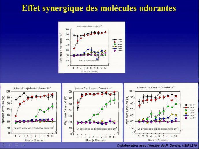 slide_0116_full