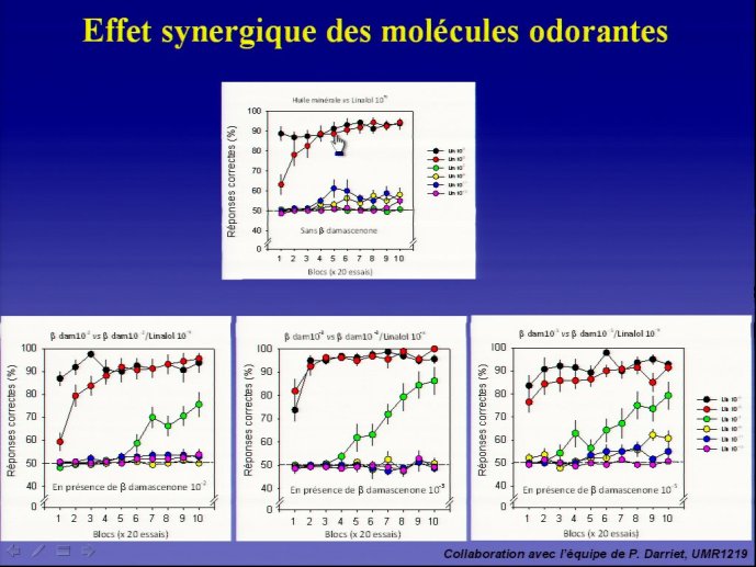 slide_0125_full