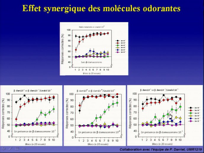 slide_0142_full