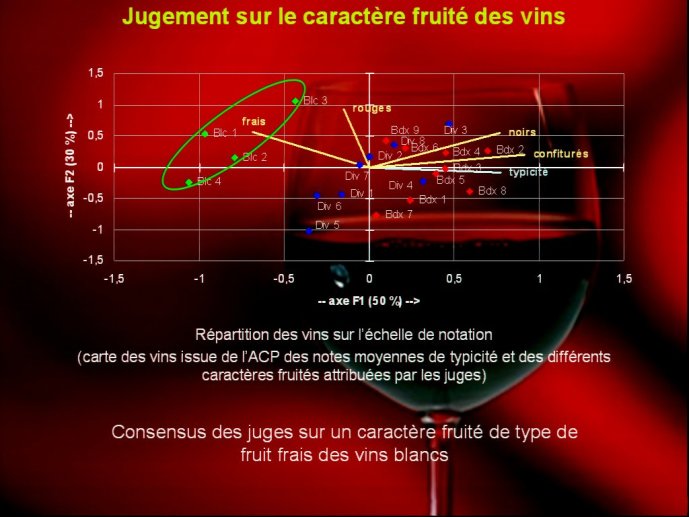 slide_0020_full
