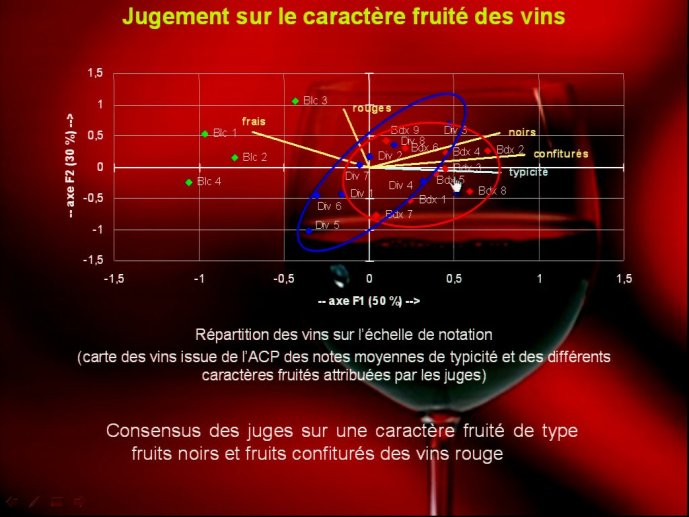 slide_0023_full