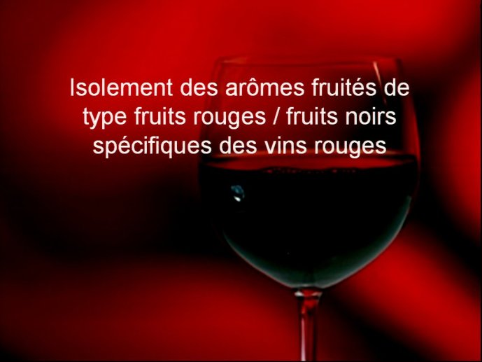 slide_0024_full