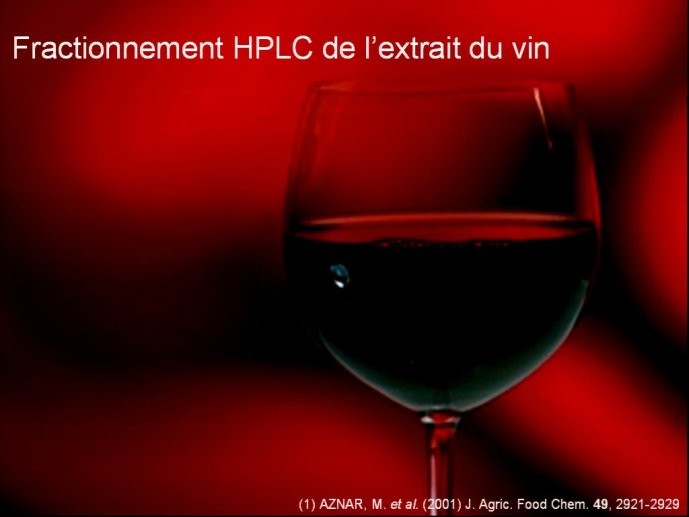 slide_0028_full