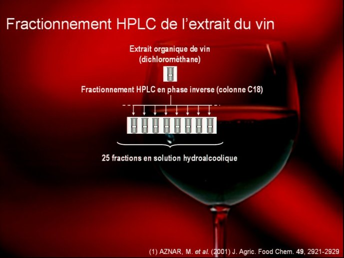 slide_0029_full