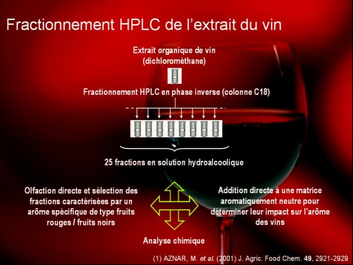 slide_0031_full