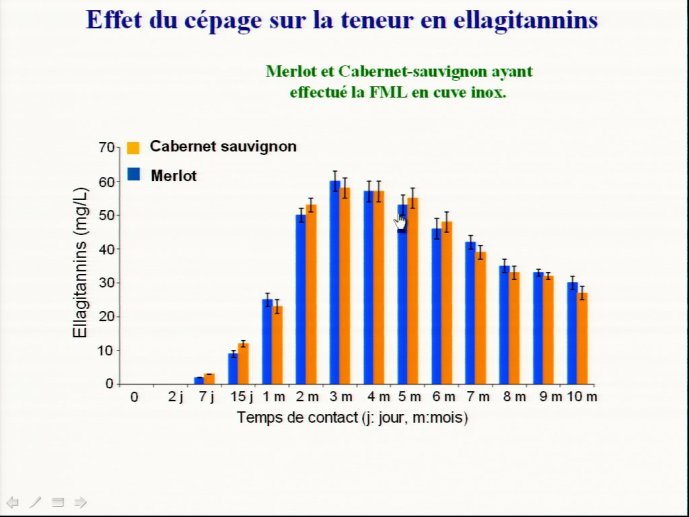 slide_0075_full