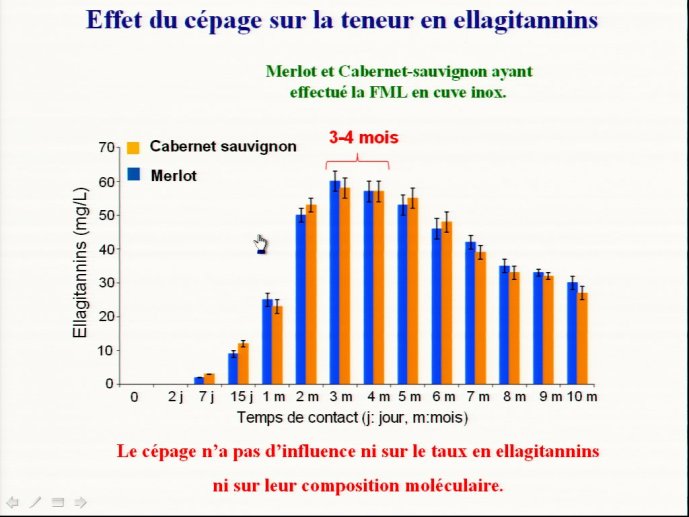 slide_0082_full