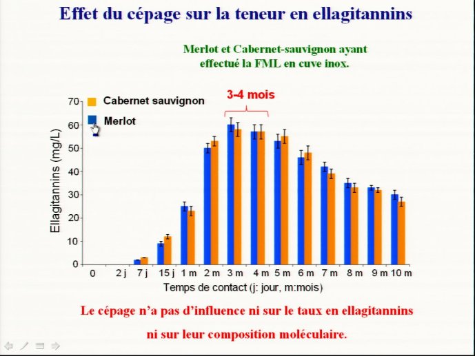 slide_0083_full