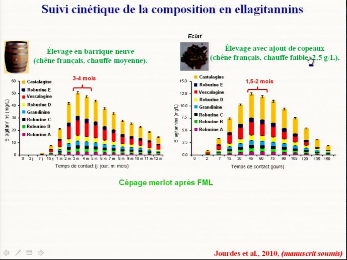 slide_0098_full