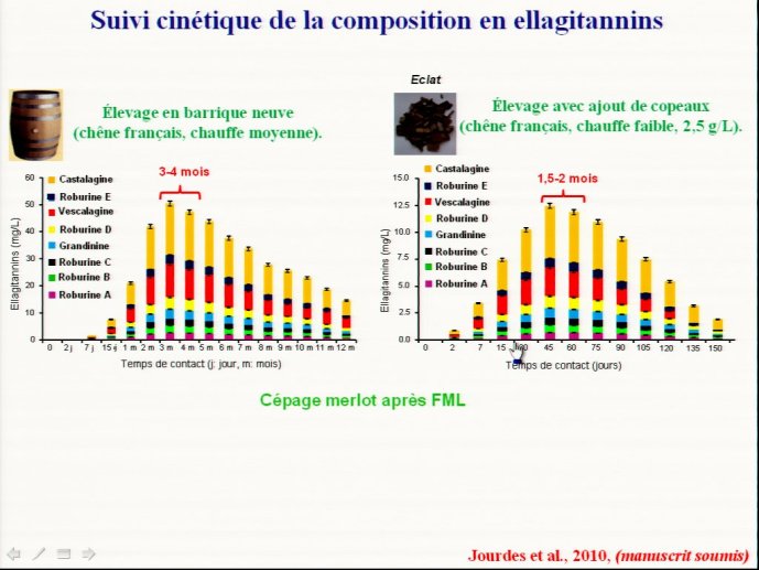 slide_0101_full