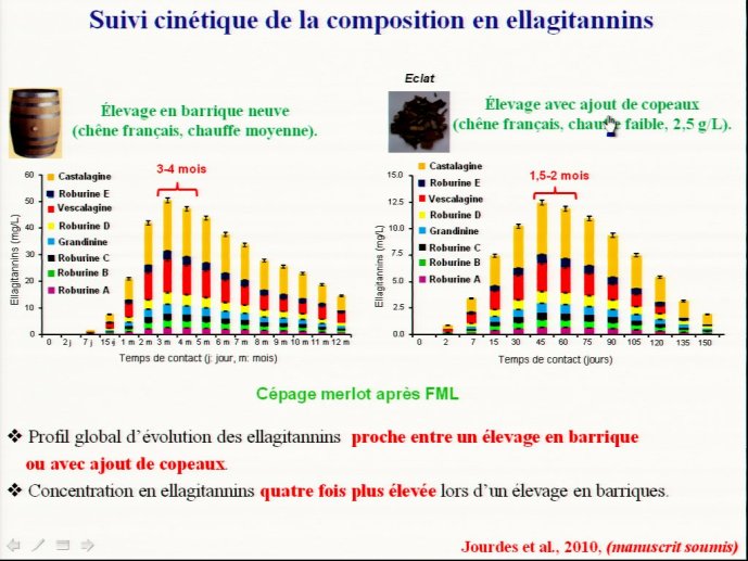 slide_0116_full