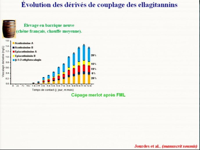 slide_0120_full