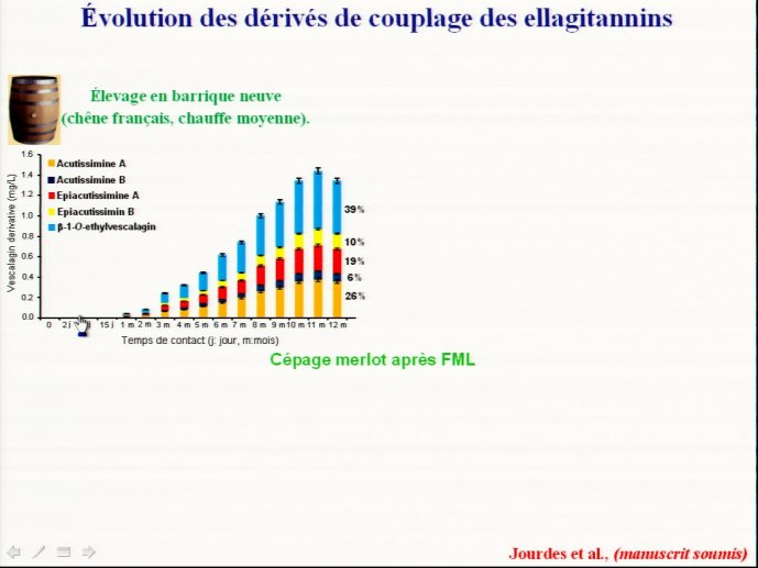 slide_0121_full