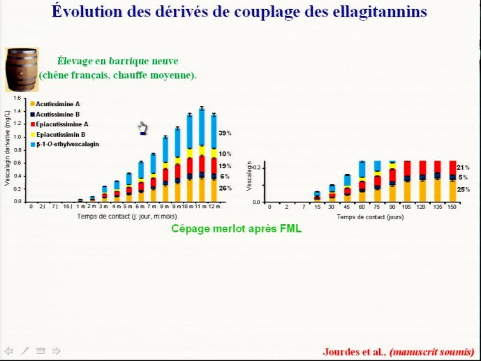 slide_0124_full