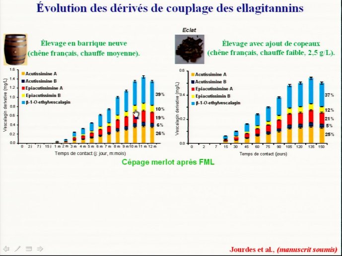 slide_0125_full