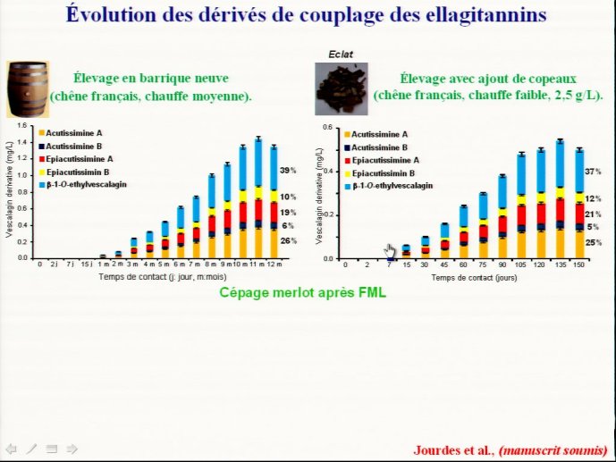 slide_0126_full