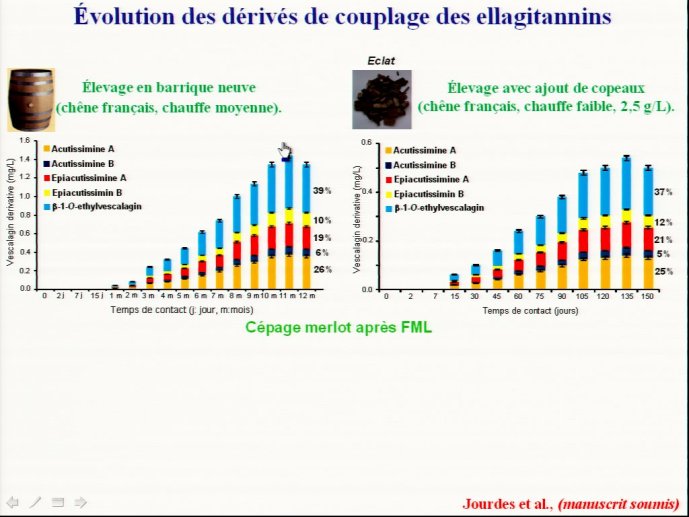 slide_0132_full