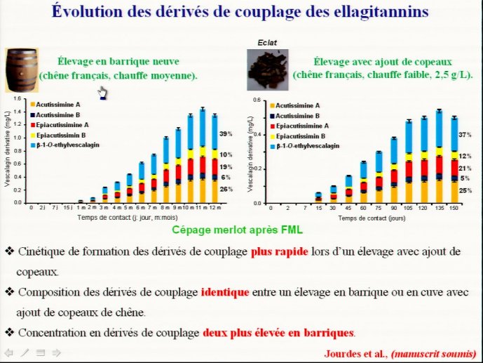 slide_0138_full