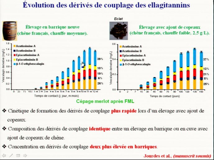 slide_0139_full