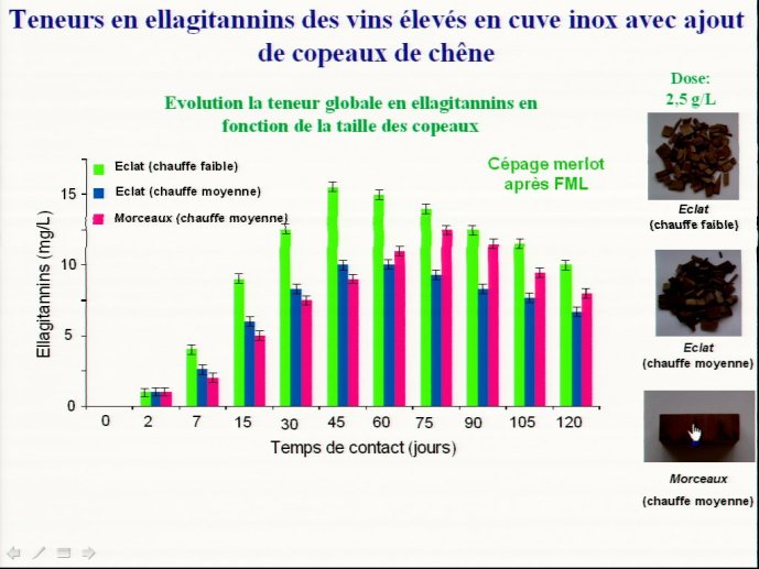 slide_0155_full