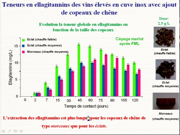 slide_0171_full