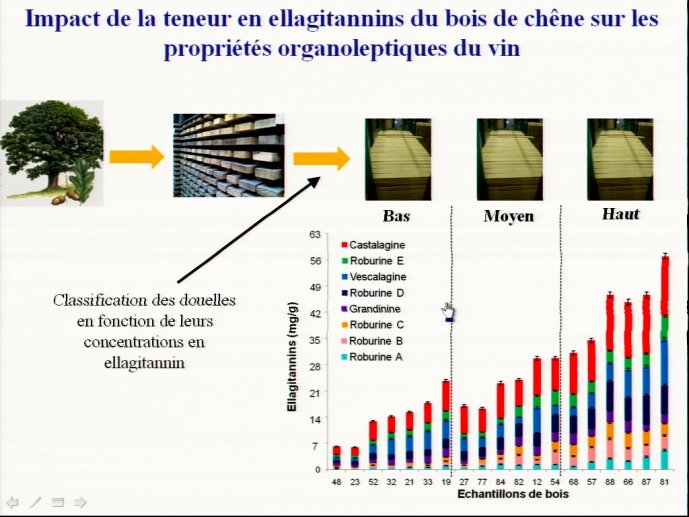 slide_0196_full