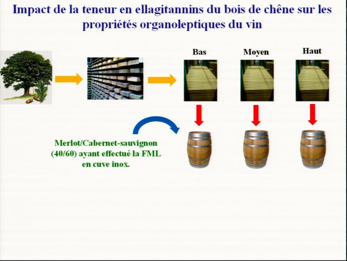 slide_0199_full