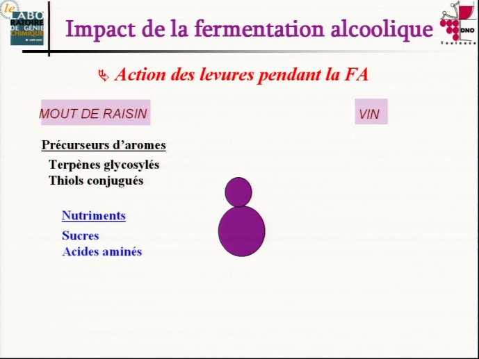 slide_0005_full