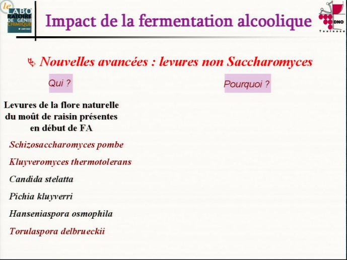 slide_0014_full