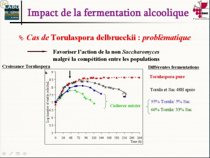 slide_0020_full