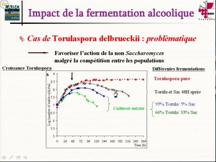 slide_0023_full