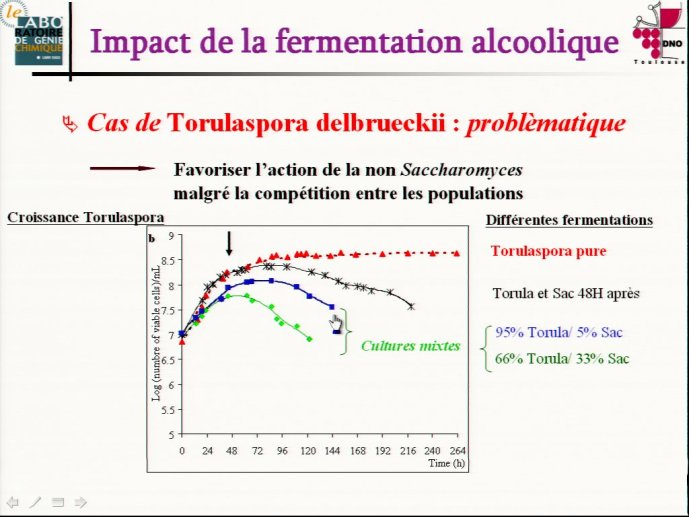 slide_0029_full