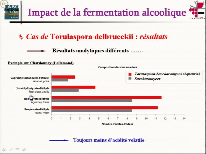 slide_0035_full