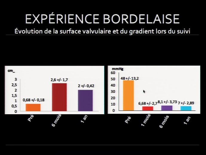 slide_0013_full