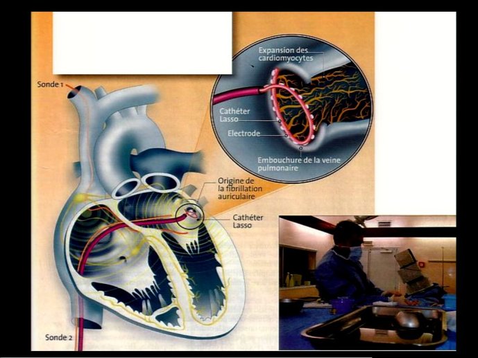slide_0079_full