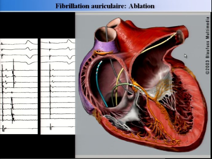 slide_0083_full