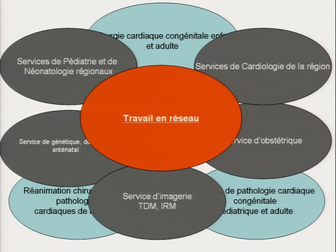 slide_0100_full