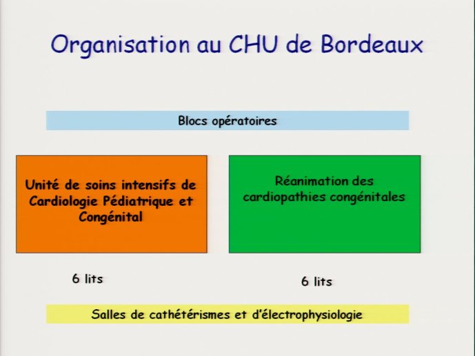 slide_0102_full