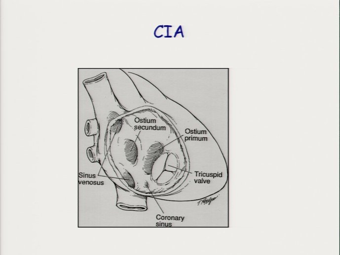slide_0113_full