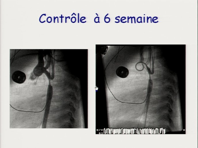 slide_0130_full